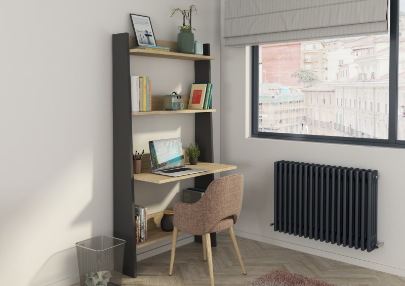 Bookcase wih desk SCRIPT